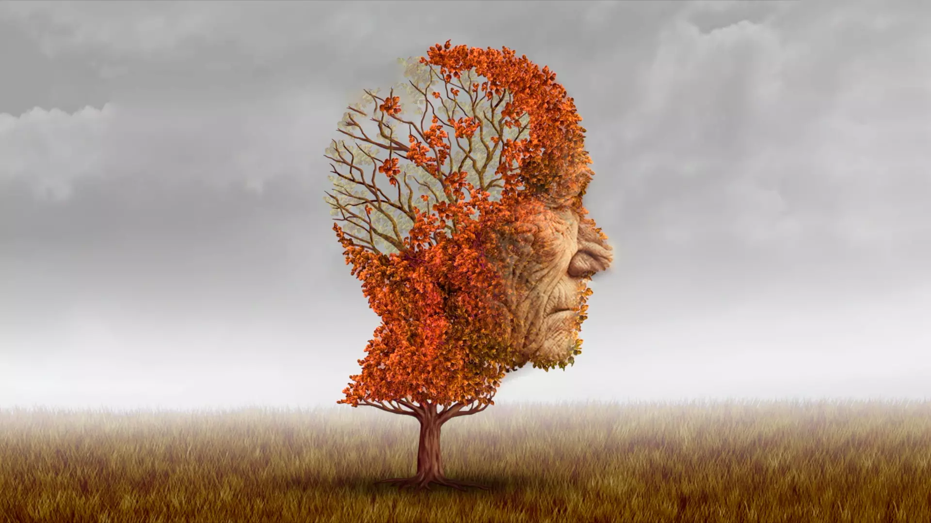 ¿Qué es el envejecimiento cognitivo?